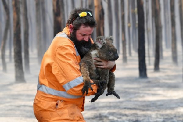 2020-01-07-australia-fires-wildlife_219