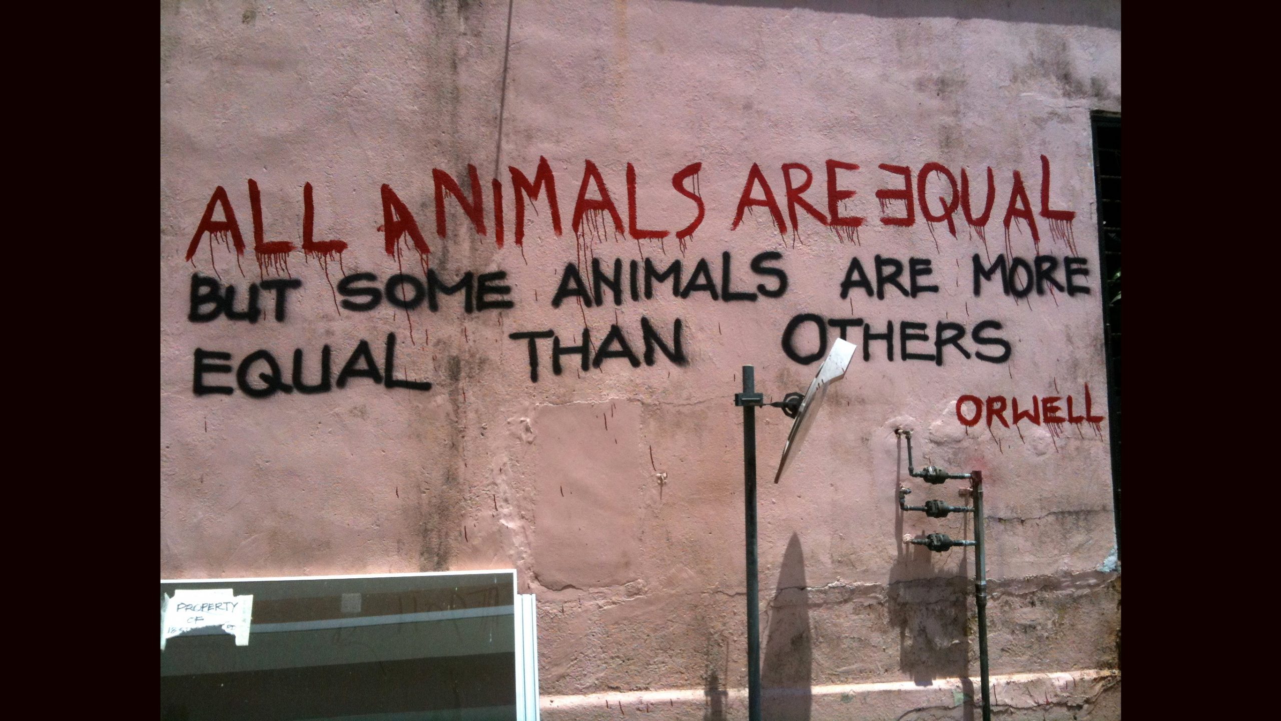 orwell-4024486593_f84121cf23_o_16x9