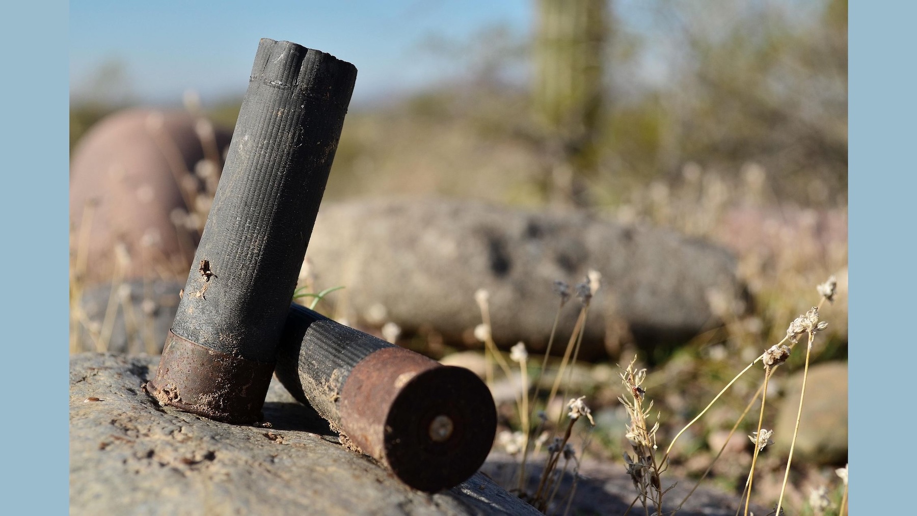 shotgun-shells-4655005_1920_16x9