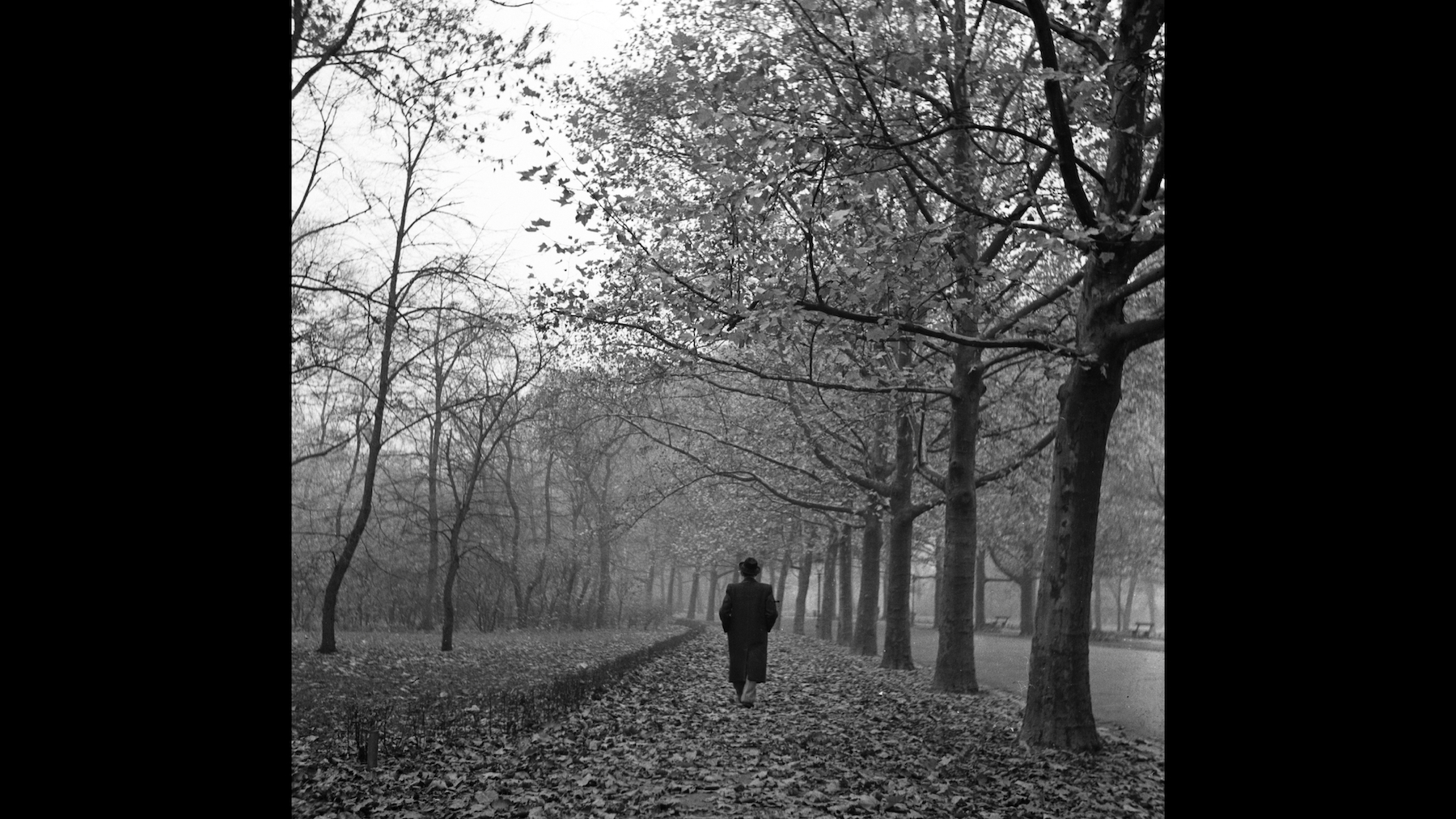 klima-varos-fa-fortepan_56823_16x9